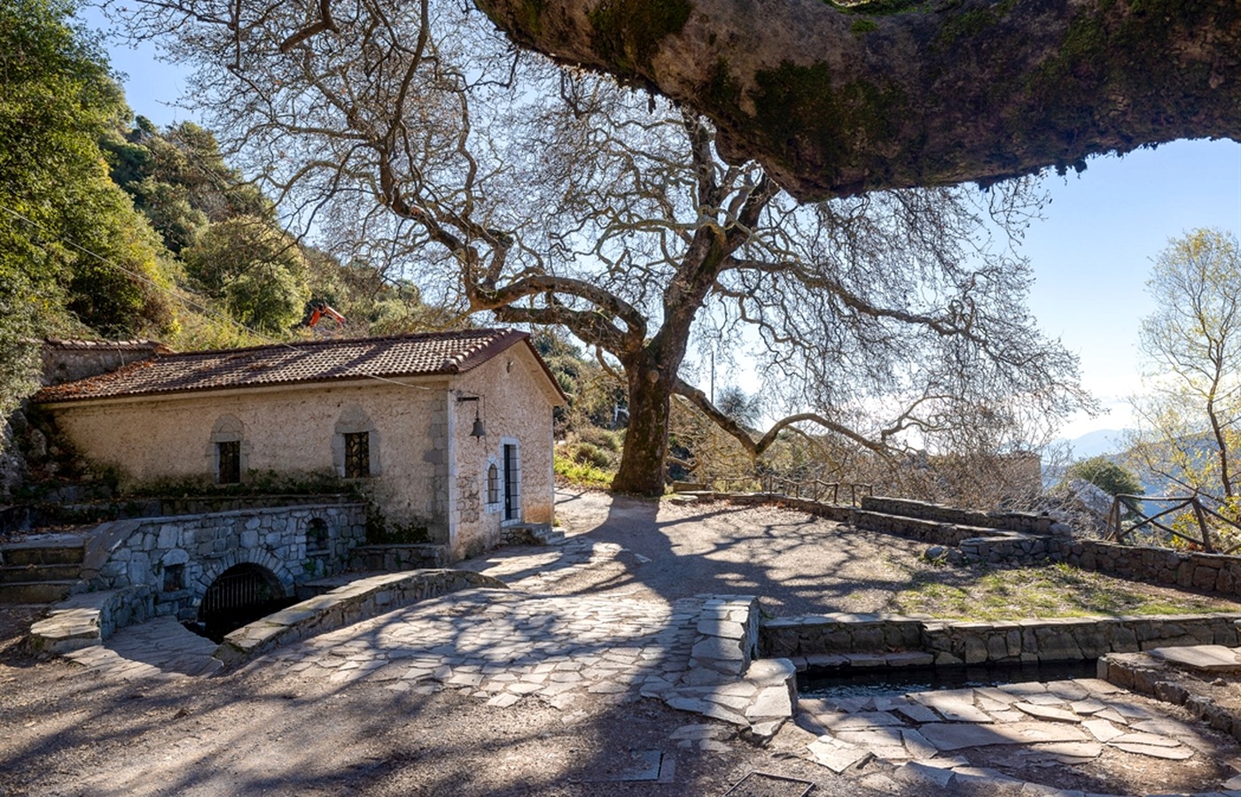 Πέτρινο τοπίο και μεγάλη σκιά δέντρου κοντά σε ιστορικό σημείο της Δημητσάνας