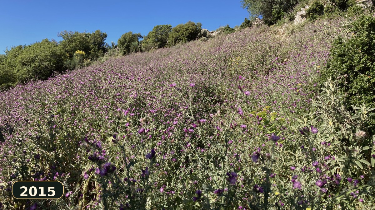 Εικόνα χρονολογίου: Το Menalon Trail λαμβάνει ευρωπαϊκή πιστοποίηση